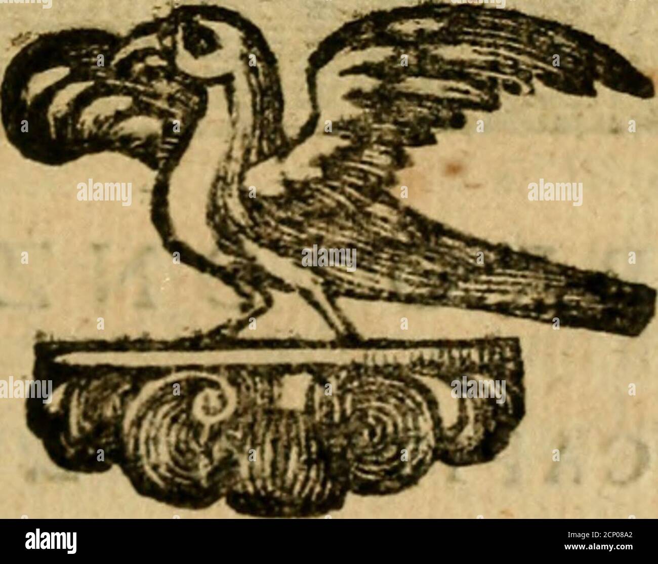 . Govierno général, moral, y politho. : Hallado en las aves mas generosas, y nobles. Sacado de sus naturales virtudes, y propriedades. Con qvarto tablas diferentes; es la vna para sermones varios de tiempo, y de Santos. . cijíénclidcs,y fabios. Nofiua Cecroprijs nfigniapráfat Athems, t Alda*: Ínter a&sfkni nofiu**dnfil áj. Emhl&gt;8 * ♦ VE en lo mas obfcuro, y tcnebrofo de la noche, ybu&-la conligero/y prefto buelo. De dia no vé , ni puede,porque es raüy fútil, y delgado el humour que favore-ce, y da fuerzas á la■ vifta, fegun eferive Ariftoteles. Leentorpe la luz del dia de manera, que leJe Banque D'Images