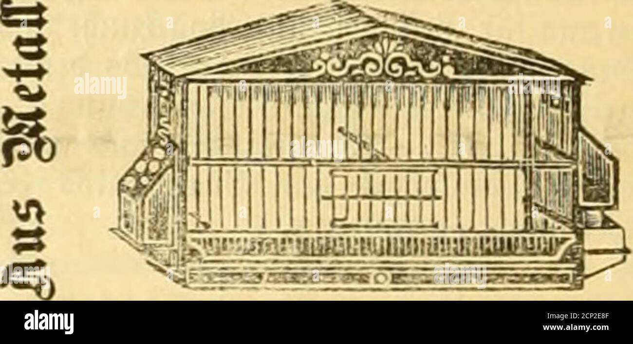 Die Gefiederte Welt J Aj Ssxsg Es Y Saffb Ss Anarienvogel Seine Natiirgescmclite Pflege Uiiil Ziclit Von Dr Karl Russ Iv 11 V Au Preis 2 Jl 1 Fl O W Die Veiagshaiidlung Creutzsche Buch