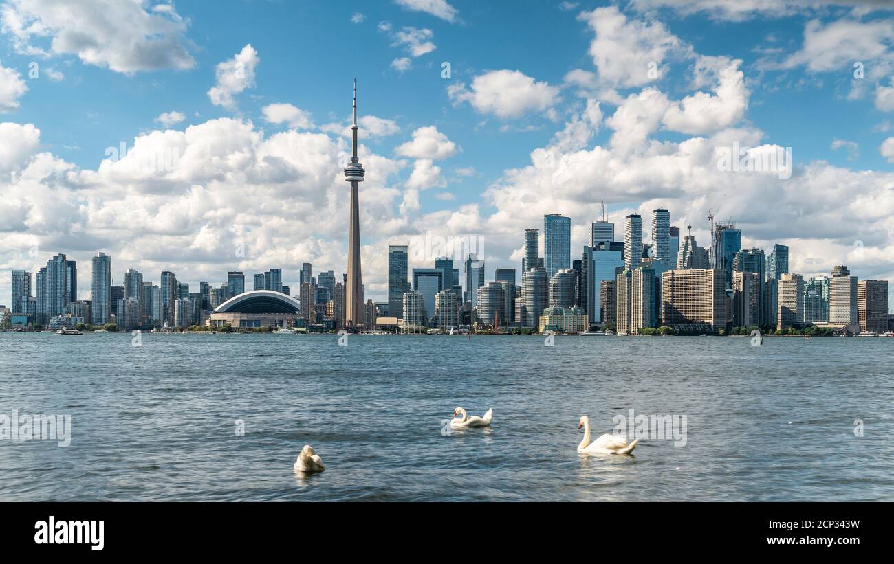 Horizon de Toronto et lac Ontario pendant l'été, Toronto, Ontario, Canada. Banque D'Images
