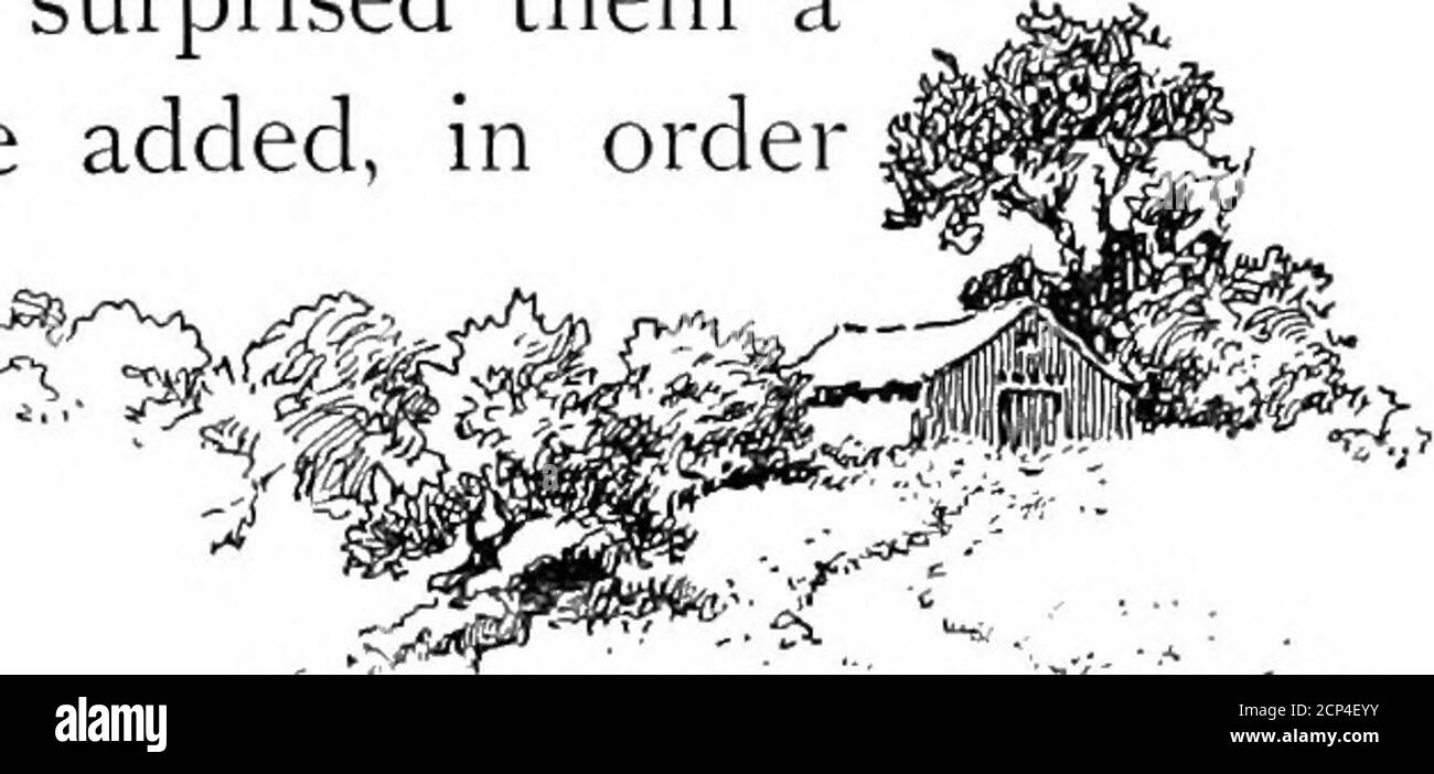 . Les chouettes de l'air . dormir, et une abondance de bois en décomposition dans lequel chasser les insectes les jours de tempête. Une maison de glace est un endroit préféré pour lui, le (^ z^ellgv) de sciure chaude fournissant un bon terrier P^^,^^ endroit pour un nid ou une chambre à coucher. Lorsqu'un bâtiment est utilisé comme station d'hiver, l'oiseau fore très habilement l'entrée sous les avant-trous, où il est à l'abri des tempêtes, et en même temps hors de vue de tous les regards indiscrets. Pendant l'hiver, plusieurs oiseaux occupent un bâtiment ensemble. Je connais une ancienne grange déserte où, l'année dernière, cinq des oiseaux vivaient très de pois Banque D'Images