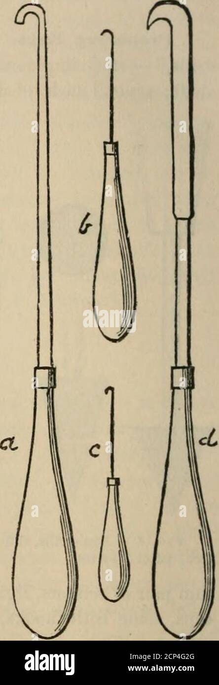 . La clé pour les oiseaux nord-américains. Contenant un compte rendu concis de toutes les espèces d'oiseaux vivants et fossiles à l'heure actuelle connues du continent au nord de la frontière mexicaine et des États-Unis, y compris le Groenland et le bas de la Californie, avec lesquelles sont incorporés ornithologie générale: Un aperçu de la structure et de la classification des oiseaux; Et Field ornithologie, un manuel de la collecte, de la préparation et de la conservation des oiseaux . pousse des remorquages plus cassants au moment de l'éclosion. Les embryons bien formés ne peuvent pas être obtenus à travers tout trou qui soit fait dans un oeuf ; ils doivent être extraits piecemeal. Ils peuvent l’être Banque D'Images