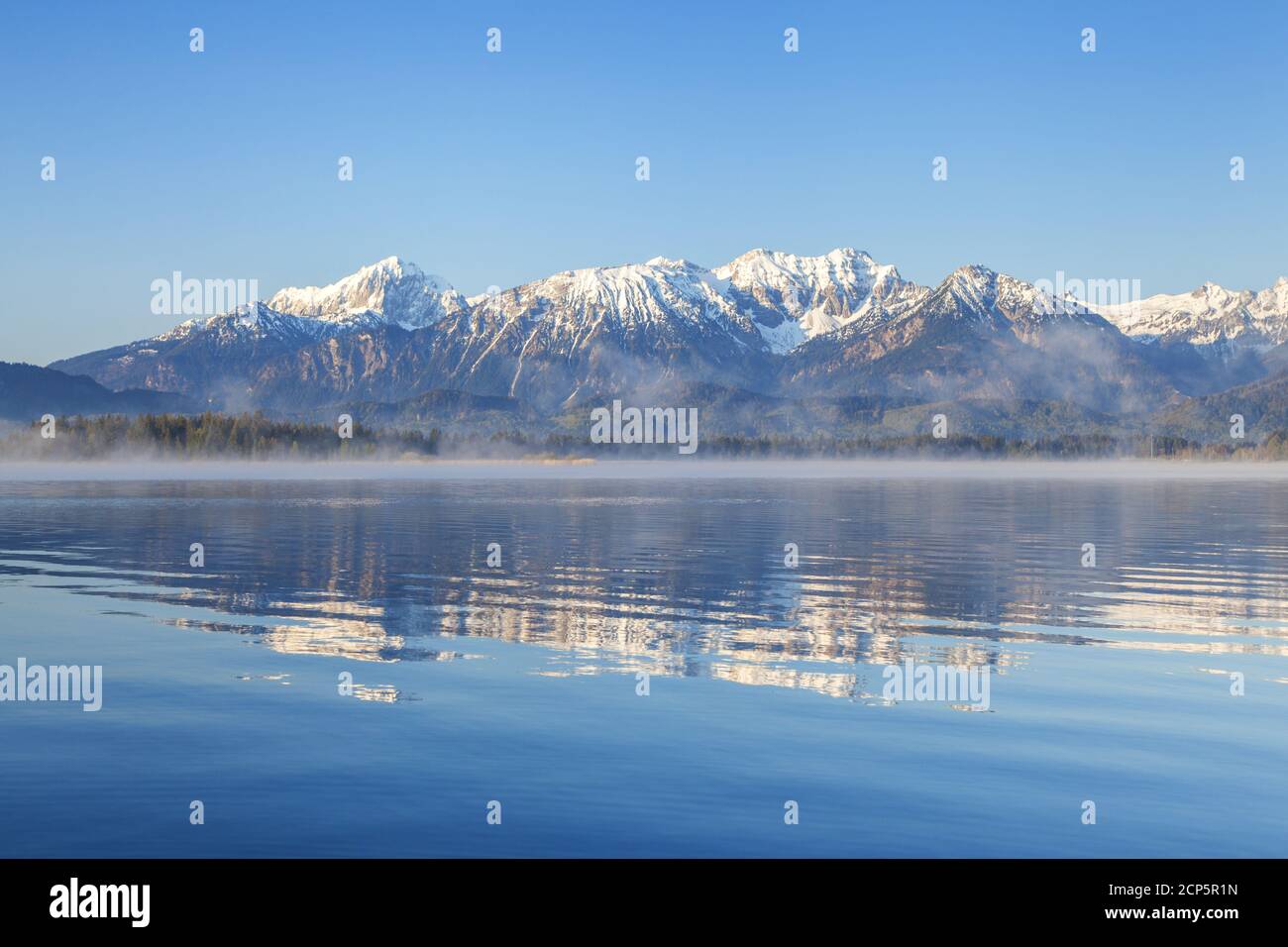 Hopfensee en face du panorama des montagnes de Tannheimer, Hopfen am See, Allgäu, Ostallgäu, Allgäu Alpes, Bayerisch Souabe, Bavière, Allemagne, Euro Banque D'Images