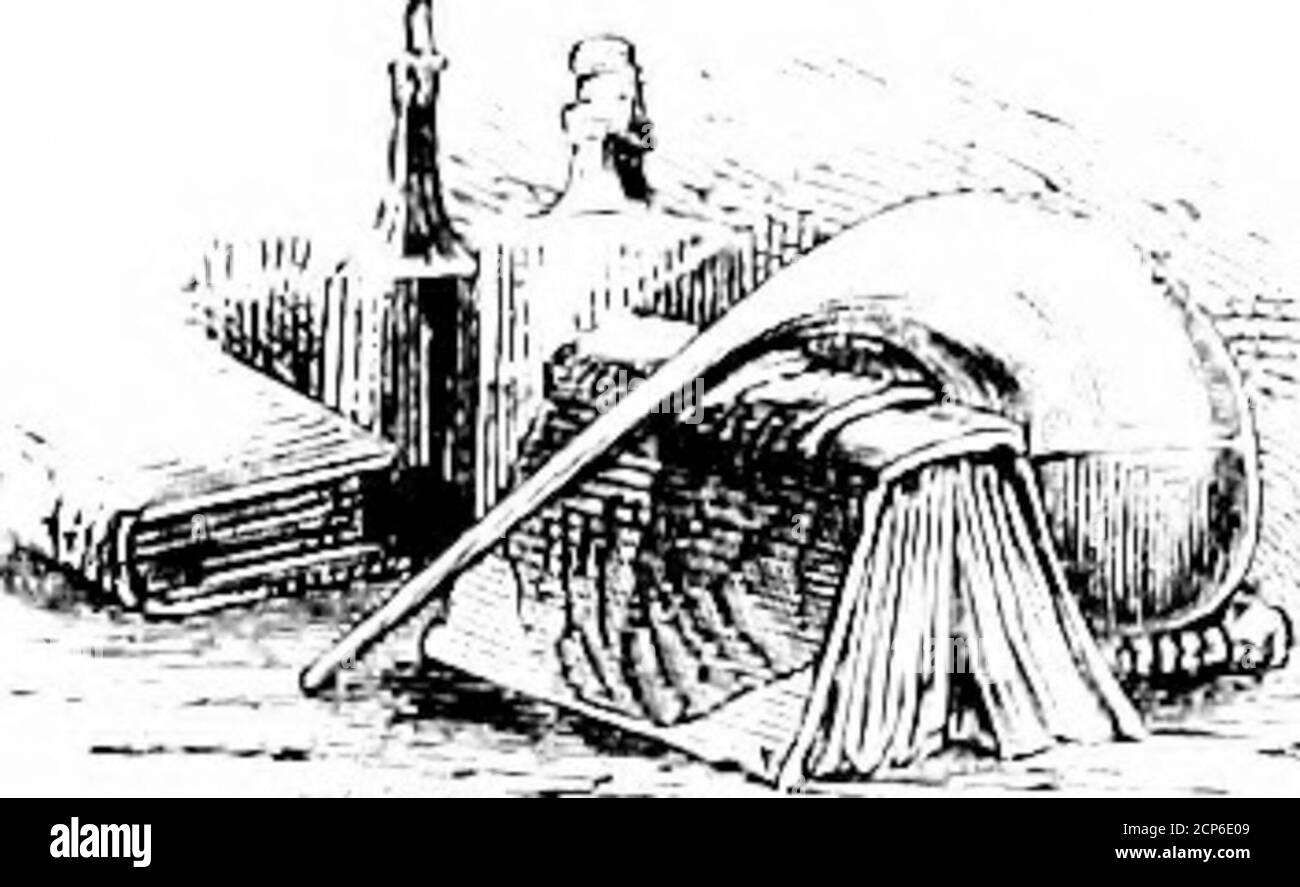 . L'oiseau . Page 157. La suppression de la douleur.—prévenir la mort est sans aucun doute impossible; mais nous pouvons prolonger la vie. Nous pouvons même, de manière tuale, rendre la douleur plus rare, moins cruelle et presque la supprimer. Que le vieux monde durci rie à cette expression est si muchthe mieux. Nous avons vu ce spectacle dans les jours où ourEurope, barbarie par la guerre, centré tout art médical dans la chirurgie, et savait comment guérir par le couteau par une odieuse prodigilité de la souffrance, La jeune Amérique a découvert le miracle de ce profond rêve dans lequel toute la douleur est annihilée.* * notre auteur se réfère à la découverte de l'anfetheti Banque D'Images