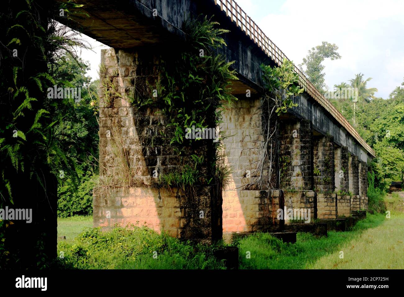 Magnifique pont passant par un champ magnifique à Kerala Gods Propre pays Banque D'Images