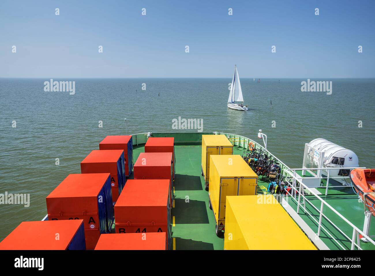 Moutons De Frise Orientale Photos | Télécharger Des Images Gratuites