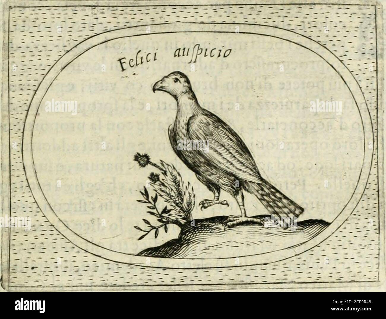 . Teatro d'imprese . e contrailo.Dello Sparuiere, per cui smtendeuano gli empi, & ingrati inuerfòChri-fto, Seda Mosèhauuto traglialiimmondi, riguardante la Luna,frrf.it vien detto OS tvm abvndavit mal, ma sparto di argina, ma fomargina, lotcimento di la fra di, lofra, lotra di, lofra, lotra di, lotra, lotra, lotra, lotra di, lotra di, todo, lotra, todo, todo. Quello, che altri lignificò colFestina lente*. VNO fi figurò vno Sparuiere, che picciolo vccel-vireFilib.i, letto fi lalciaua viene dagli arrigicol motto non fvga,sed con-te mptvs: Sè vera la proprieto, gr.niola Impreià , e fabricata ra,nuoudamo , fonuo Banque D'Images