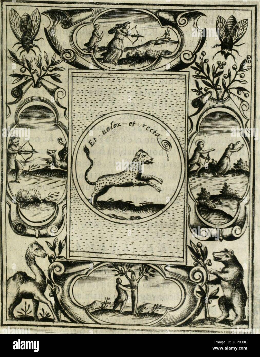 . Teatro d'imprese . ato pelo ritiene animo fiero, conforme al-la natura beltialc. Molerò conte propriétaire à Afcanio pic-Vokt.Birg. Colonialihgurandolodietro advna Fiera con voci AVT cito, avt NVN- —- Di C ìouanni ferro. 441 Nvnqjam, ouero AVT sperno: & col AvTCAPIO,AVTqVIE- Vìne.%u[c.sco fu di Iacomo Soranzo Caualiere, e Procurar di San Marco, fu ac- Camercentiara vna Tlmprefa dal Taflo chequrtafando do, Imafra di San Marco. Bernardo Tallo lo diede per Imprefa advn Caualiere del Tuo Fiondante col detto per allettarmi; perche TEF.Her.T.nafeonde la teda , e moltra la Banque D'Images