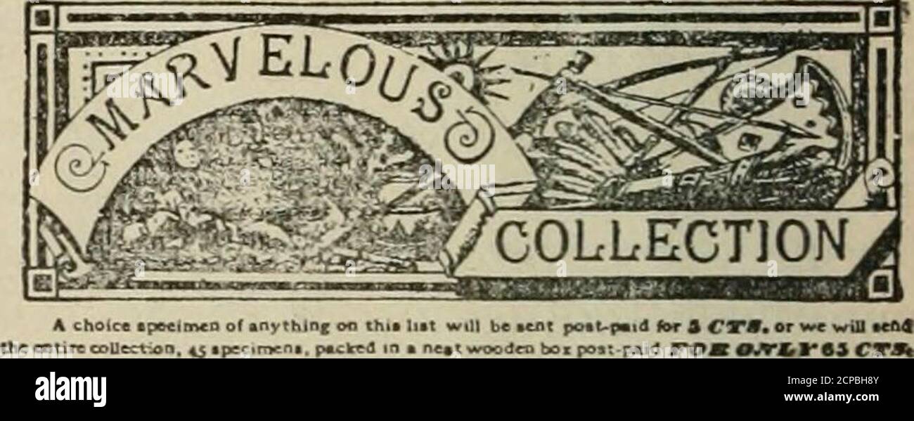. La ligne . de l'oïste Je vais transformer une spécialité de l'entreprise de courrier. C. F. Carr, (Formally Madison, Wisconsin) NewLondon, Wisconsin. LES JEUNES NATURALISTES. o 1 RMurrobbco PUat. M«i.. Slixmp étranger* 6 B»rk de Coik-Tre* Espagne 19 Bnoofa Cuntl, R&basiw SO Arrowhead. Orange OS., tiulisa» 21 Aconi BAniiu:le. Pkcifio iz Roee COM), B«h&nua i CryBtal. Bpnni^ Ark. 2« argent Cowtt.OtIoi27 IlniiCona. CAI^jliot•i» Indian PoUery, ORL 6 plat. N. y. L9 Alli5»l.T Tcjotb. lodi&a Rirer. TIA. 30 crinoïde St^ra. Rivet CNMB«rlADd. TsSttt S% f etiiflea Wood, Sonoma Co., Calk33 ■•Electrio Stone, J«(L Co., N. Y. & gt; Limpet, Bahaoi Banque D'Images