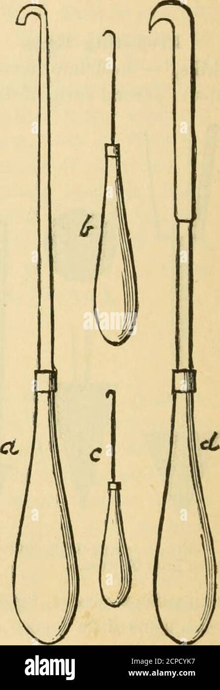 . La clé pour les oiseaux nord-américains. Contenant un compte rendu concis de toutes les espèces d'oiseaux vivants et fossiles actuellement connues du continent au nord de la frontière mexicaine et des États-Unis, y compris le Groenland et la Basse-Californie, avec lesquelles sont incorporés ornithologie générale: Un aperçu de la structure et de la classification des oiseaux; Et Field ornithologie, un manuel de collecte, de préparation et de conservation des oiseaux . e towardsle temps de l'éclosion. Les embryons bien formés ne peuvent pas être obtenus à travers tout trou qui soit fait dans un oeuf ; ils doivent être extraits piecemeal. Ils peuvent être coupés en pi Banque D'Images