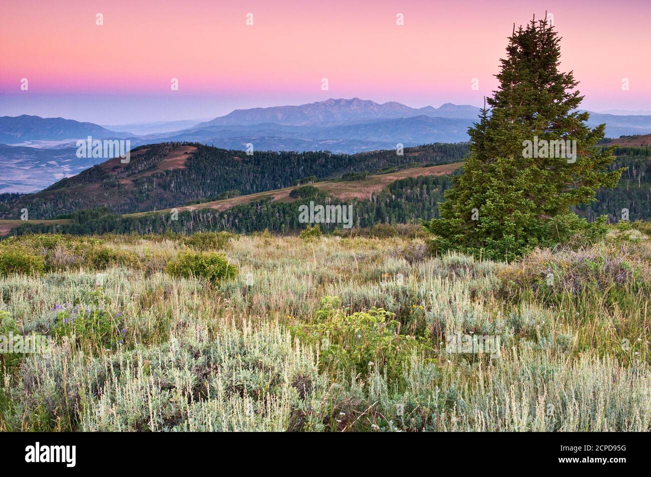 Mont Nebo dans les montagnes Wasatch, vue au lever du soleil depuis la vallée de Sanpète, vue sur Skyline Drive à Wasatch plateau, Utah, États-Unis Banque D'Images