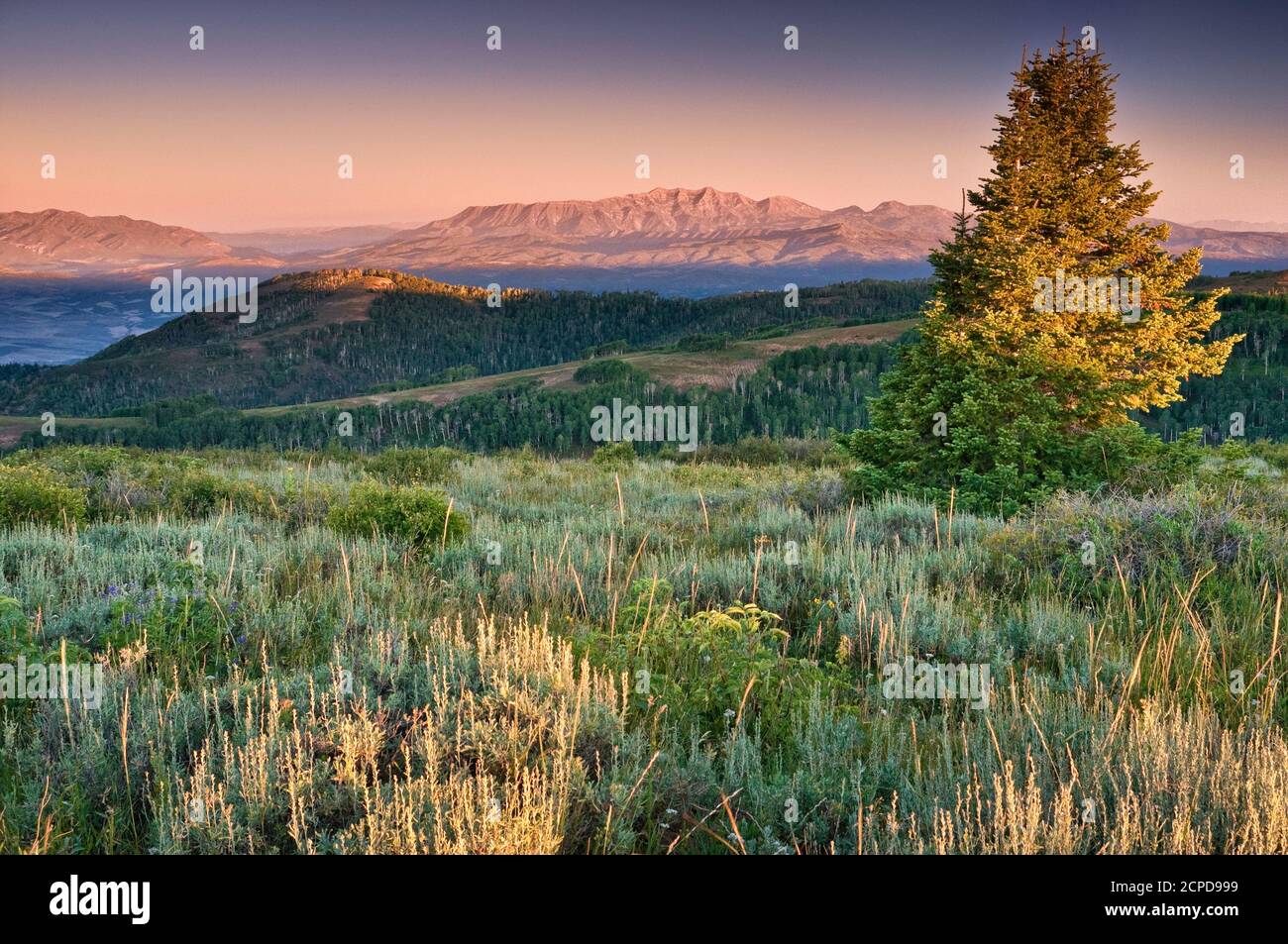 Mont Nebo dans les montagnes Wasatch, vue au lever du soleil depuis la vallée de Sanpète, vue sur Skyline Drive à Wasatch plateau, Utah, États-Unis Banque D'Images