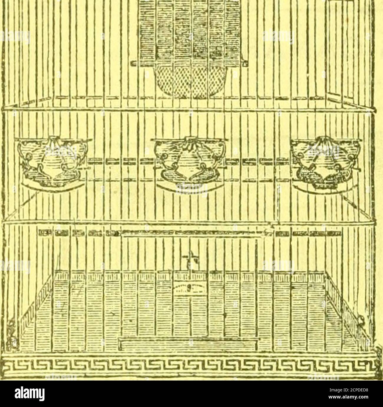 . Le livre de la compagnie de nourriture d'oiseaux de cage: . CAGE DE REPRODUCTION DE NOYER. Deux des meilleurs styles de cages de reproduction nous avons illus-trated. L'un est fait de fil de noyer et de fer, et est suitablearrangé pour l'exercice, la nidification, etc. Il vient déjà à fourrure-nished avec des nids de saule, les cheveux de cerf, etc le prix, com-plete, est I1.25. L'autre est entièrement fait de laiton, et le fil de hassa nid; il en coûtera ^5.50. La cage devrait être suspendue au moins un pied au-dessus de la tête, et devrait occuper un aspect sud, si possible, et ne pas être déplacé jusqu'à la fin de la saison de reproduction. Les Canaries peuvent être accouplés pendant les mois de février Banque D'Images