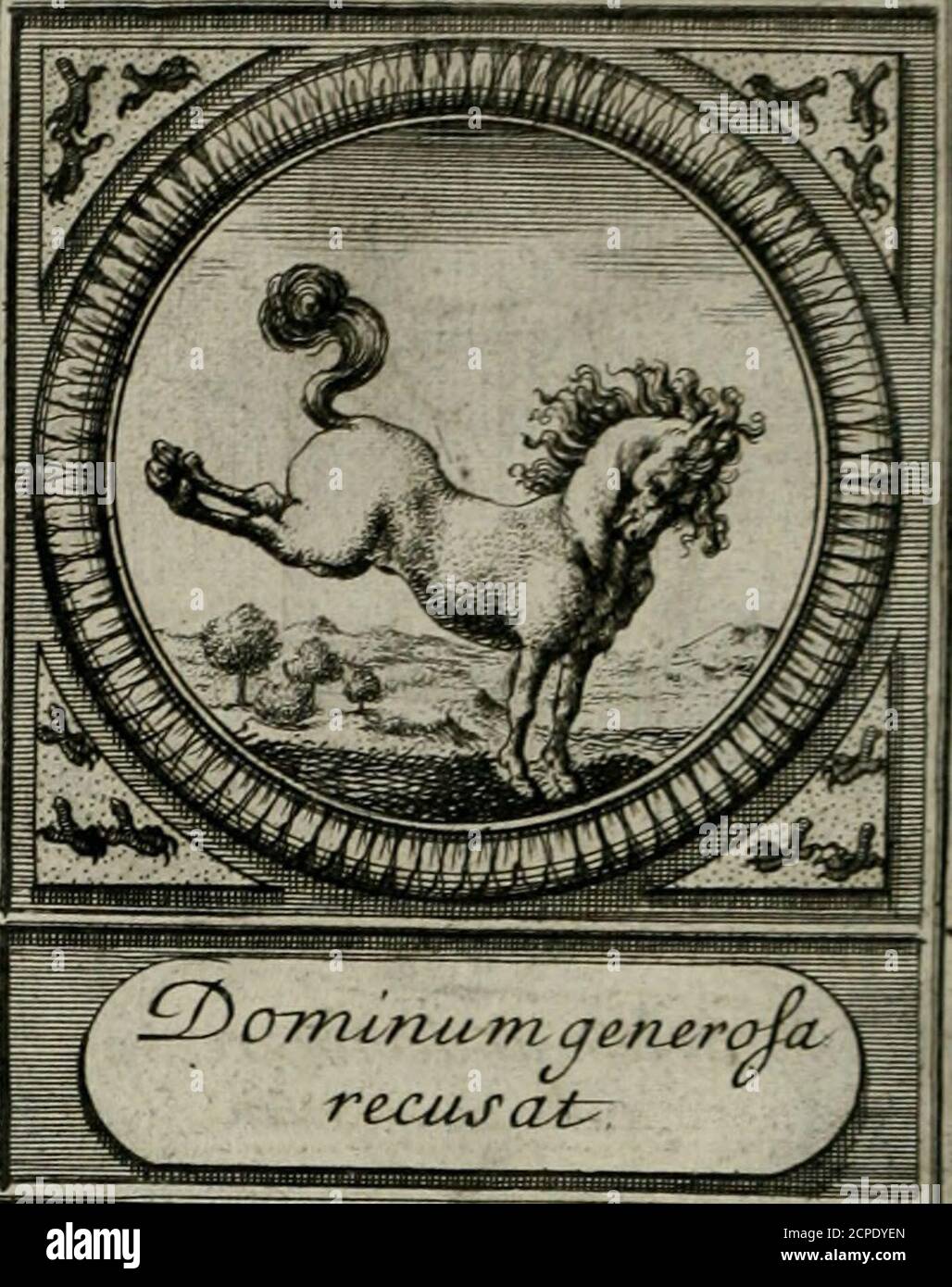 . De l'art des dispositifs . , XLIV. Les Horloges à pendules font (Î juftes quonprefet ayant déjà été débrodés, de qualité au mouvement du Soleil. Cettemachine eft de linvention de moniteur Hu-gens de Zulichen , à qui auflî bien quà fa ma-chine fe peut attribuer ce mot tiré de Virgile, RRR iij 50X DEVISES. XLV. Lî Cheval eft le Syn^bole du Royaume deNaples, fourrure lequel le Boccalini, à écrie daf-fez bon mots. Mais il nen un point écrit, quivaille celuy-cy,qui eft dOvide, appliqué à cetCavale {ans mors àc fans bride, mife glacé pourla République des Suiftes. A D O P T EE S. 505 Banque D'Images