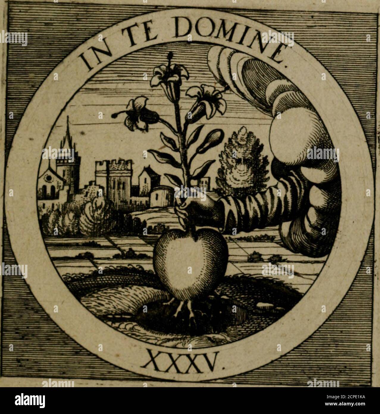 . Emblemata sacra : est hoc, décades quinque emememememememememum ex sacra scriptura, de dulcissimo nomine & cruce Jesu Christi, figuris aeneis incisiorum ... . ■/ •/ lyi Emblatum Saccorum IN TE DOMINE. TuradixmihiChriftcmihitufertilarzardbor; in replantatus frugifer ELFE queo.me portare velis,mefru6l:ificare; tuo fic Rore repliero, flore beams ero, ^vixmb bin i^ avide) fein Z^d^fJ6 xft et Tiftmd) Drumd/j in Ovt. E0;».ii.ii.ii.i.i.i.i.i.i.i.i.i.i.i.i.i.i.i.i.i.i.i.i.i.i.i.i.i.i.i.i.r.u nc porte la racine, mey.e.e.e.e Banque D'Images