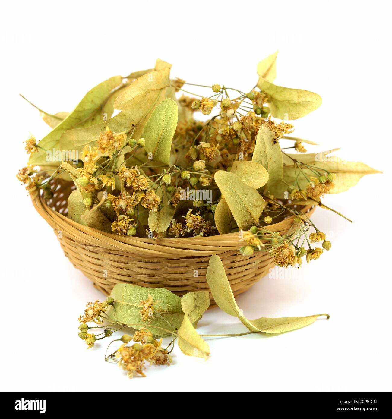 Fleurs de tilleul séchées sur fond blanc Banque D'Images