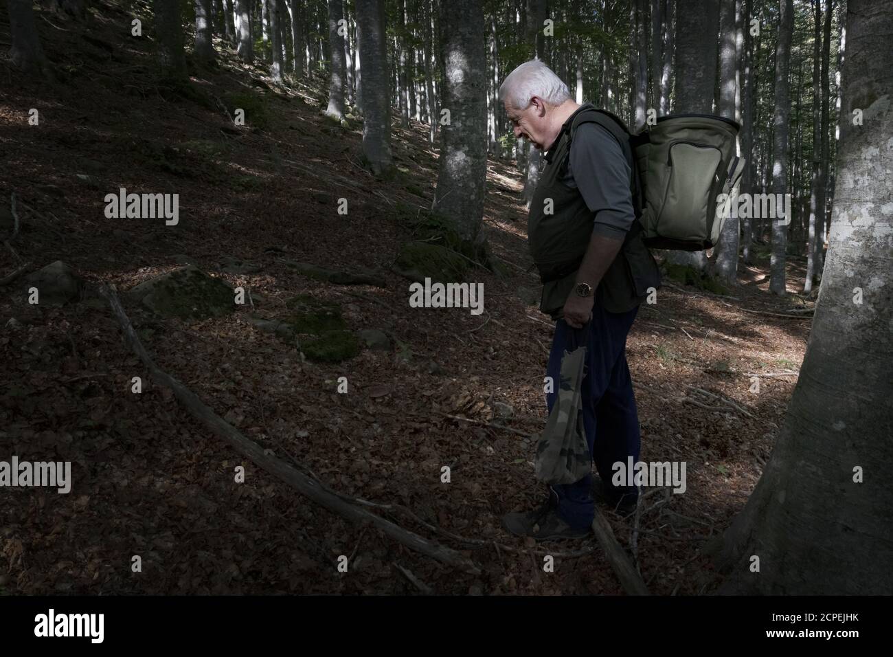 chasseur de champignons dans les bois Banque D'Images