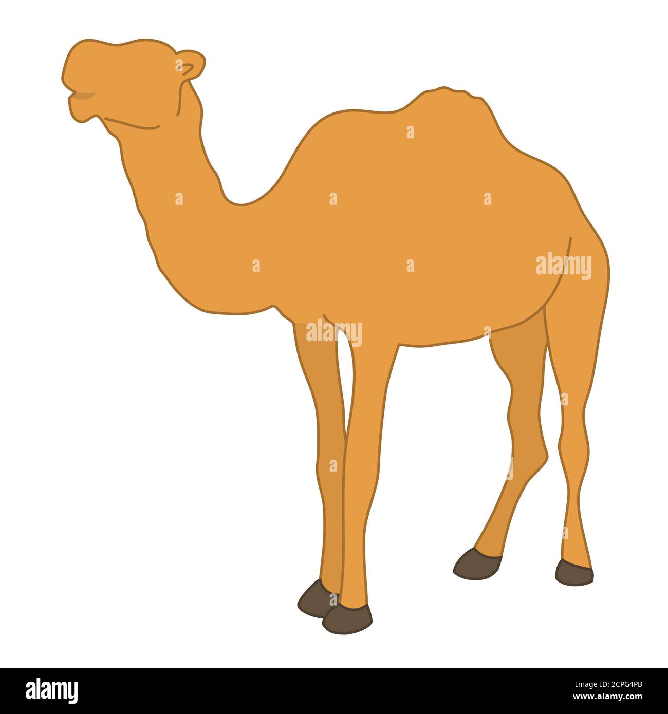 Animal personnage chameau bosse debout blanc isolé arrière-plan avec plat style de couleur Illustration de Vecteur