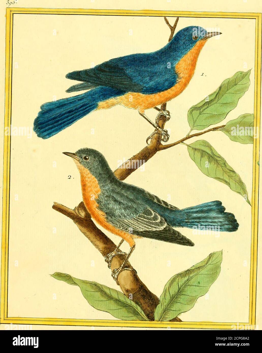 rencontre avec pierre laro