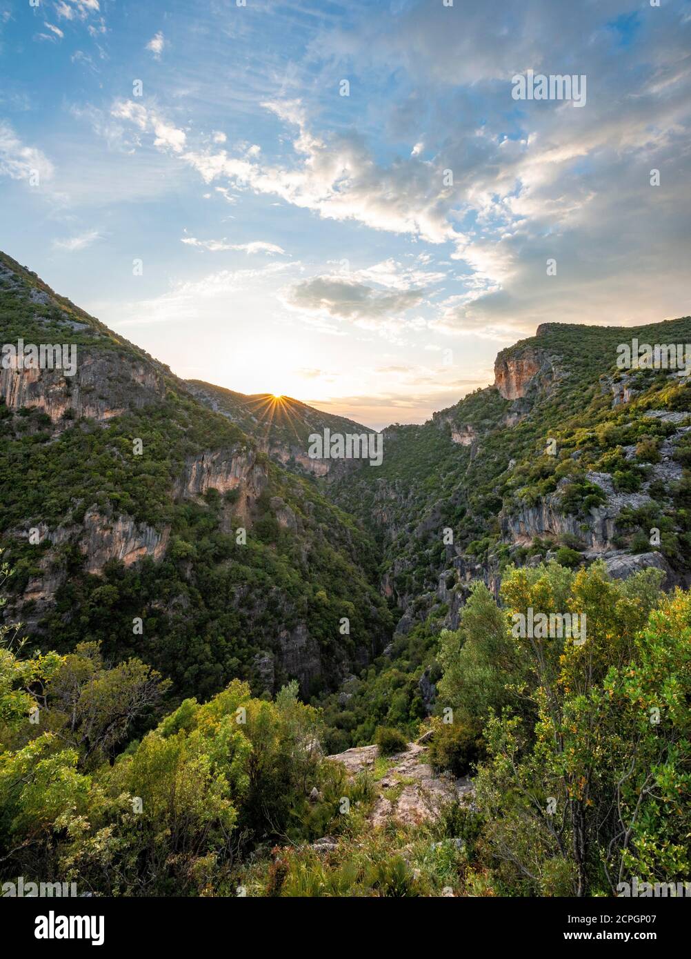 Pentes boisées, gorge verte, Garganta Verde, coucher de soleil, Sierra de Cadix, province de Cadix, Espagne, Europe Banque D'Images