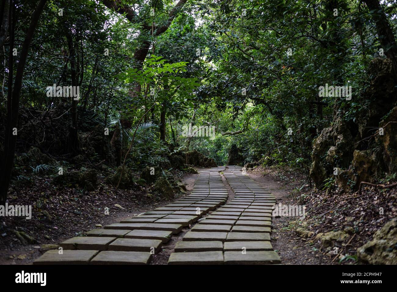 Sentier dans l'aire de loisirs de la forêt nationale de Kenting Banque D'Images