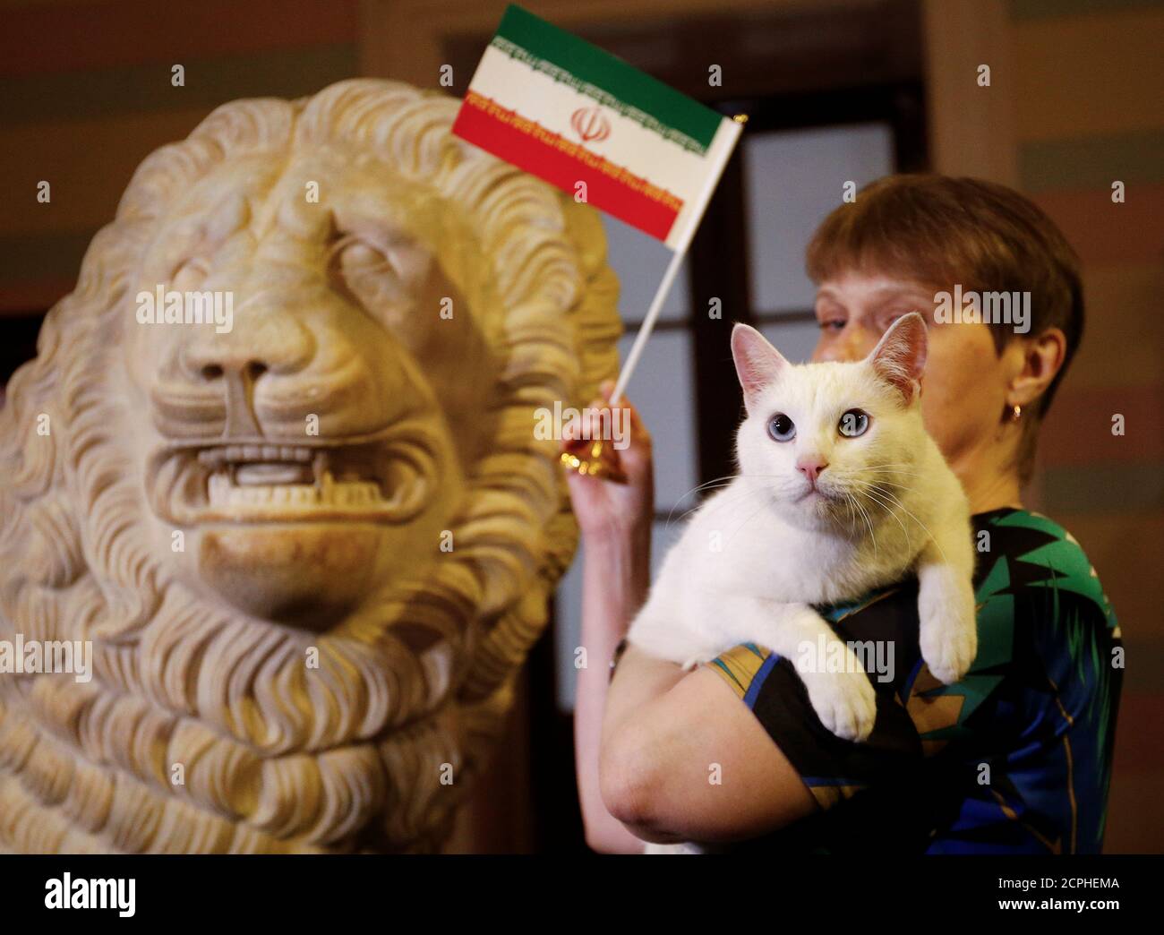 Achille Le Chat L Un Des Chasseurs De Souris Du Musee De L Ermitage Choisit L Iran Tout En Essayant De Predire Le Resultat Du Match De La Coupe Du Monde De Football Entre Le