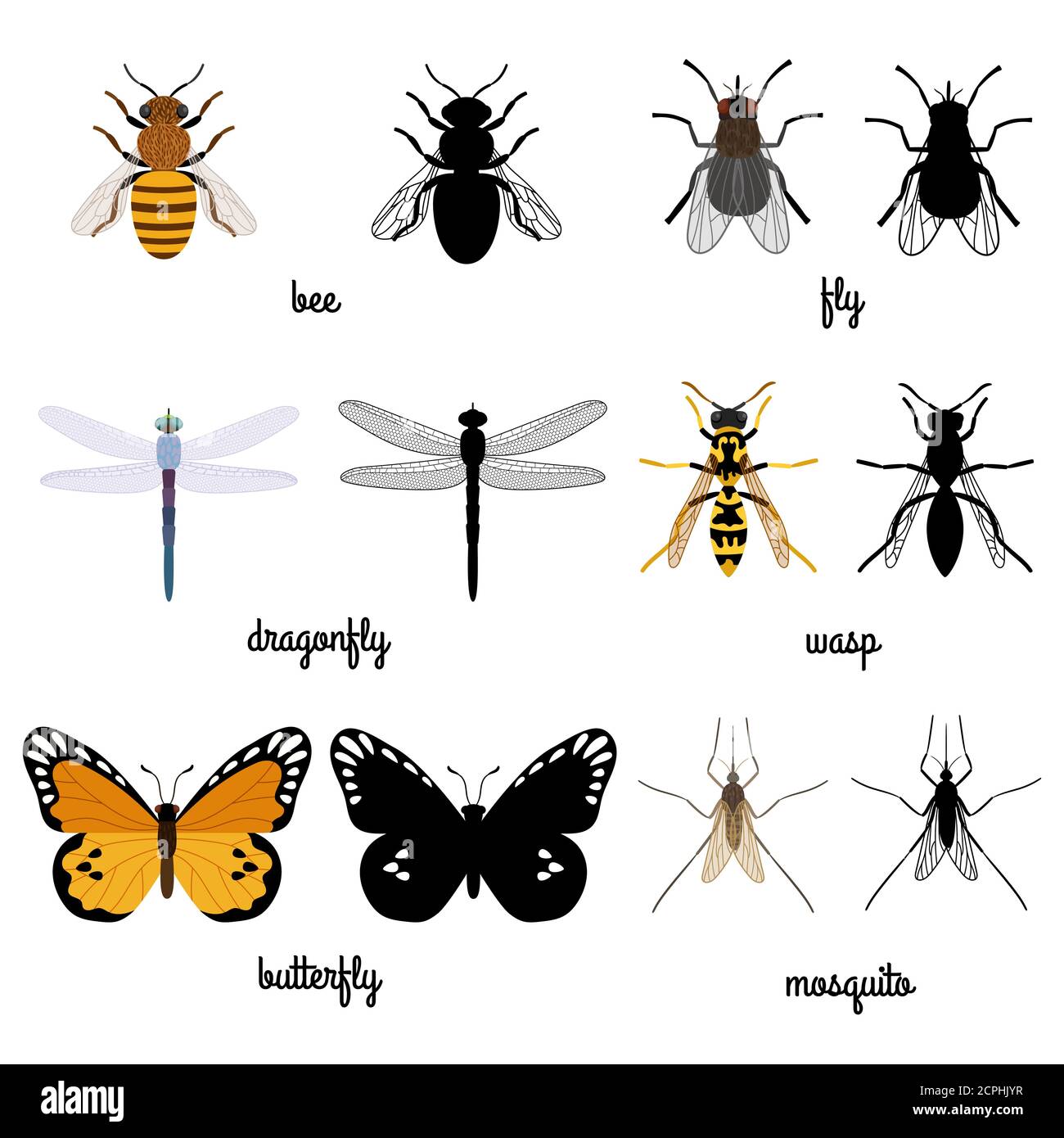 Silhouettes noires et colorées insectes volants isolés sur fond blanc. Illustration de la mouche des insectes et du papillon Illustration de Vecteur