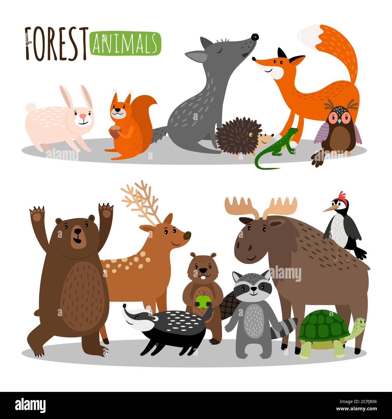 Collection de vecteurs animaux de la forêt mignonne isolée sur fond blanc. Illustration d'un animal forestier, d'un ours sauvage de caractère et d'un raton laveur Illustration de Vecteur