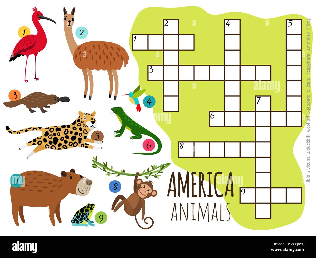 America Animals set Kids crossword illustration vectorielle. Singe et lama, grenouille et ornithorynque Illustration de Vecteur