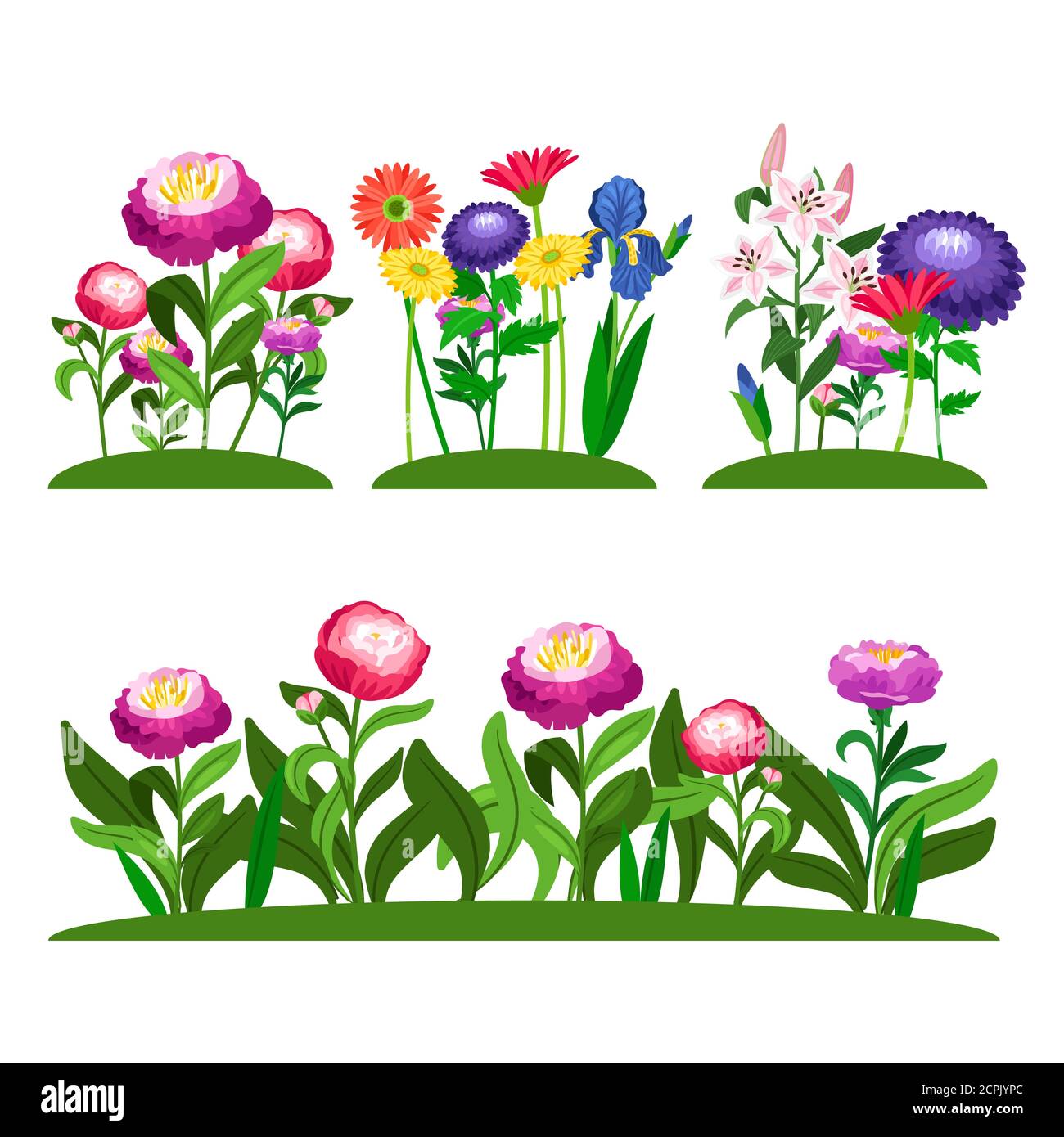 Composition vectorielle de fleurs de jardin. Pivoine, lilly, Marguerite aux feuilles vertes. Illustration d'une fleur de couleur sur le terrain Illustration de Vecteur