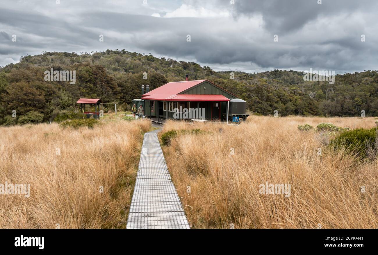 Un département de conservation hutte perchée sur les plaines dans brousse originaire de nouvelle-zélande Banque D'Images