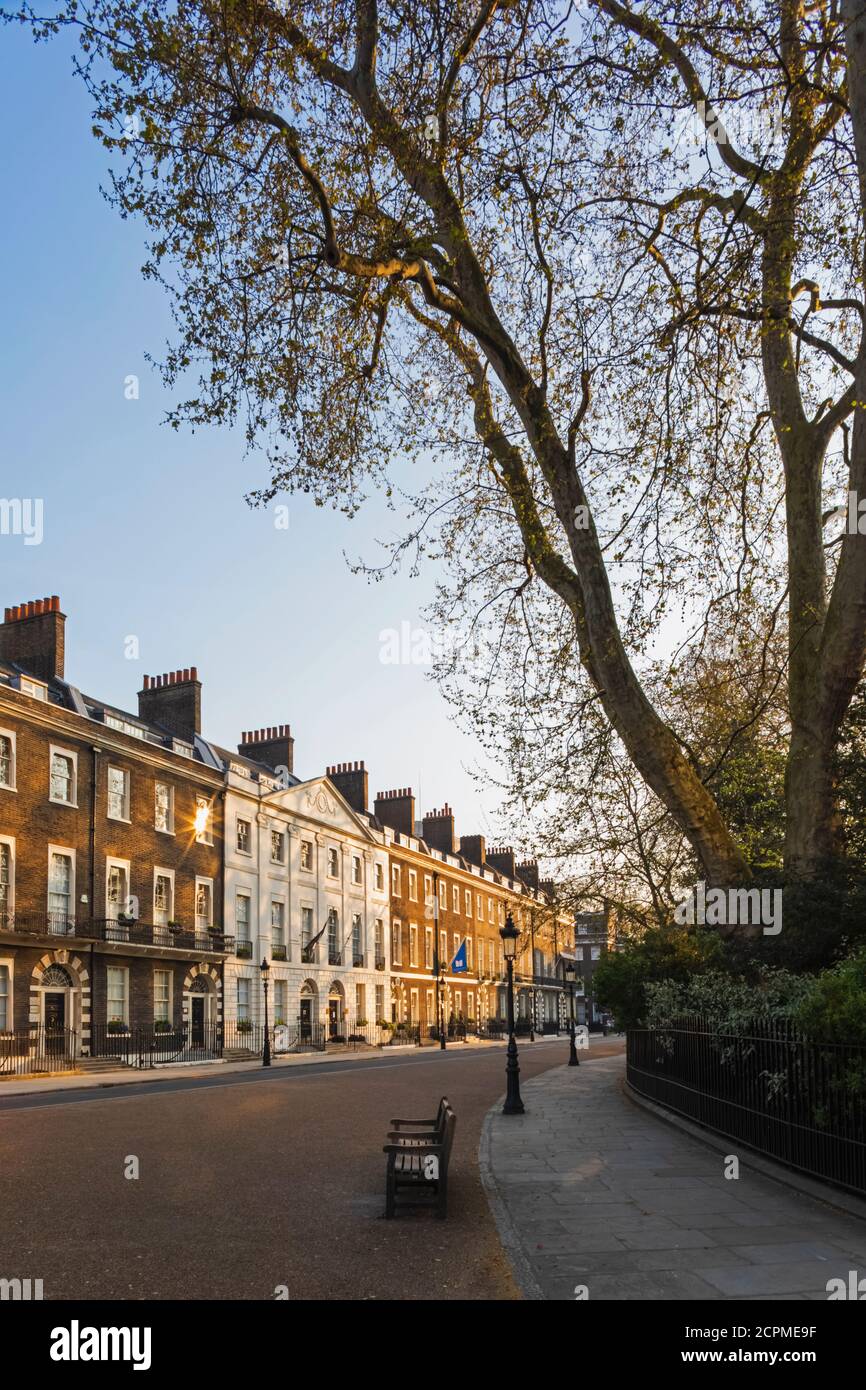 Angleterre, Londres, Westminster, Bloomsbury, Bedford Square Banque D'Images