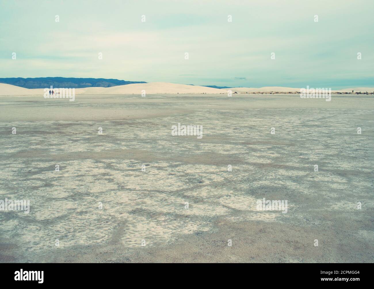 Des plats alcalins au parc national de White Sands avec un ciel couvert Banque D'Images