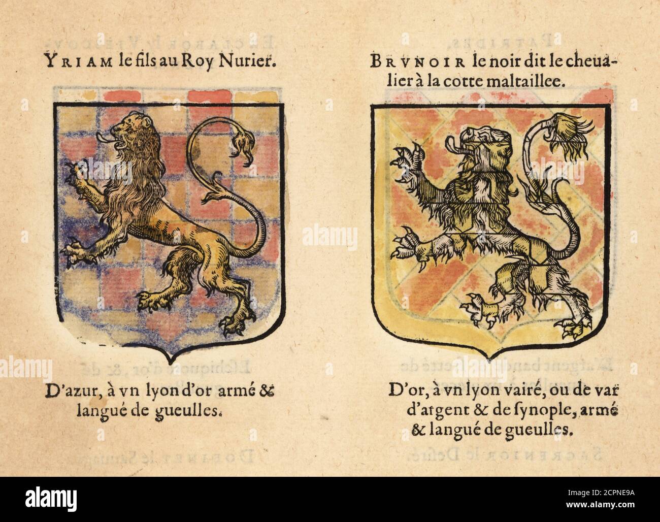 Blason chevaliers de la table ronde Banque de photographies et d’images