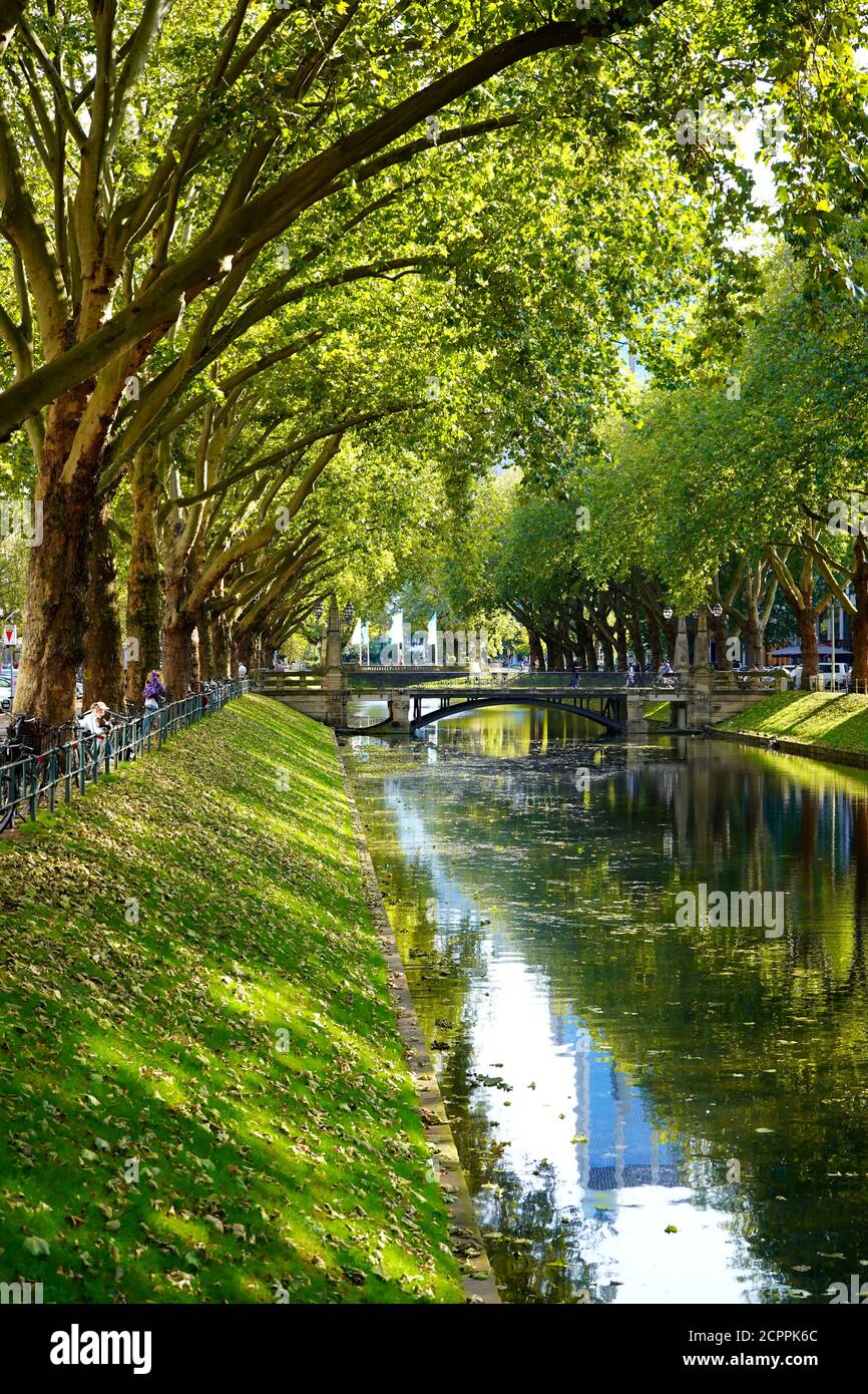 Le magnifique canal vert de la ville 'Kö-Graben' sur Königsallee à Düsseldorf. Avec ses vieux arbres, est un morceau de nature verte au milieu de la ville. Banque D'Images