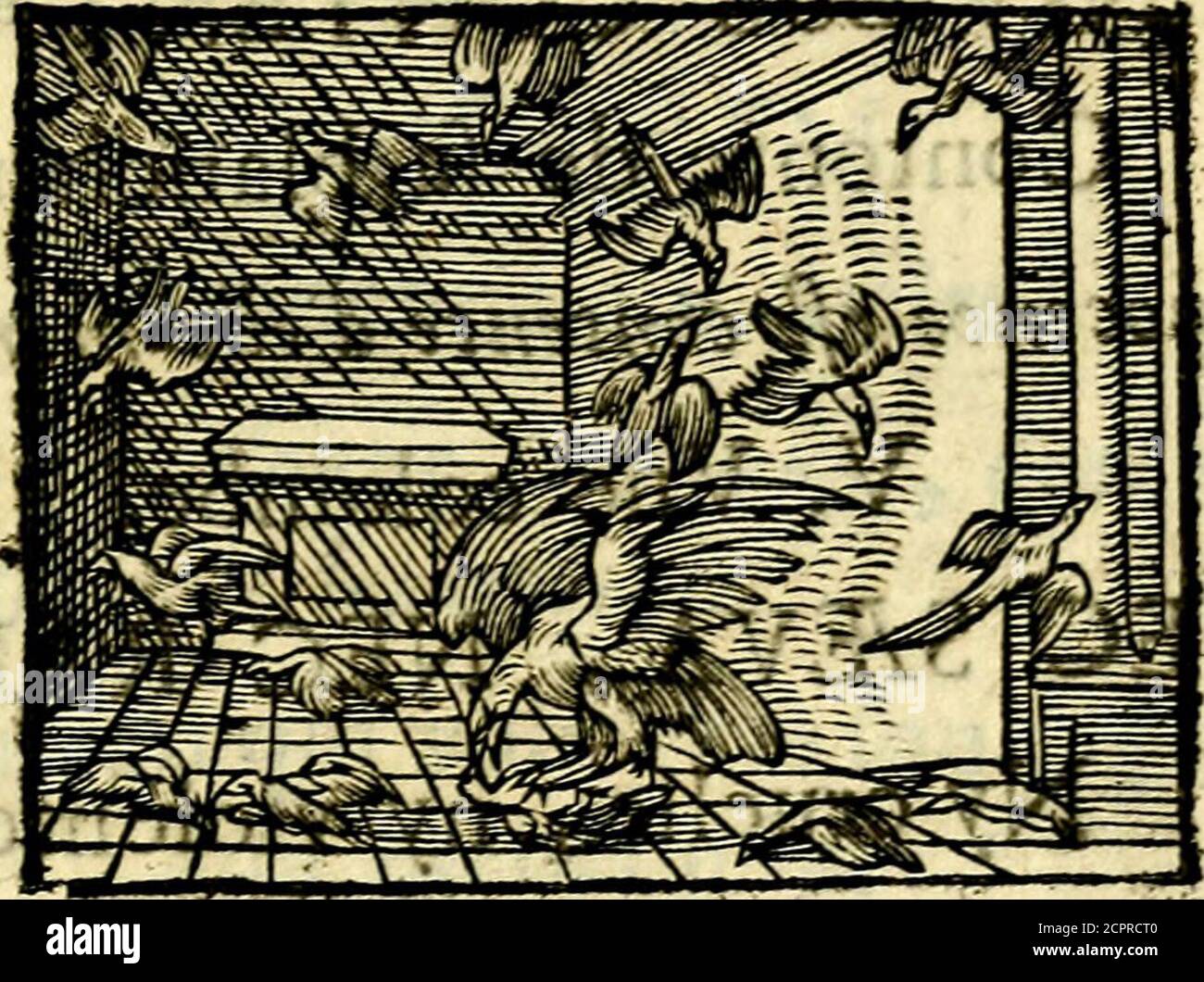 . La philosophie des images : composiée d'un ample recueil de devises, et du juglement de tous les ouvrages qui ont été faits sur cette matière . mpagne. DESERTUM FACIT ESSE DISER:TUM. Le defert de fes chantes retintent à tour de tour. Tour d'un folitaire qui chante les louanges Dedieu. XXVII. VN Roffignol qui chante auprèsde fa compagnie qui couve. MODULATUR PARITUR^. Iluy chante avec joye avant celle foie. mère. Pour les vers quun Poète a fait fur t*GH&gt;J§fejp de Madame la. Danone. XXVIII. VN RoffignoL VOX NIL ULTRA. Il a de la voix et rien autreJ four an Muficien qui ne fait fçait autre chofètme chan Banque D'Images