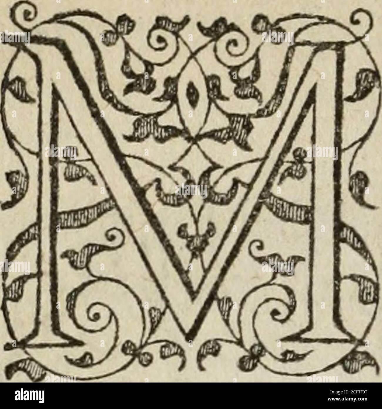 . Theatrum vitae humanæ. . A R i A bonam partem fiHperficiei terr»:e occupantjpro-pterea illisquoqinuminaprce-^{i^Q: Fuit neceffe. OceanuSjAm^phitrite,&: Neptunus fummuin iis habuerut imperium: Qui-bus fubjecbijtanquam fecund^ claflis divi,Trito-nes^Nereus, glaucus, Portunnus:Nympha^inci^,ac rehquafafli numís, Trito-es^Neruta-es-fungungungungunda, Hopungungungút de fút, hungtofút-fra, hungtofút-fra, hungtofra, hungtofra-hungunguni-fra-fra, hungungunguni-fra, hungungungungunguni-fra, huntfuntfuntfuntfuntfuntfuntf Banque D'Images