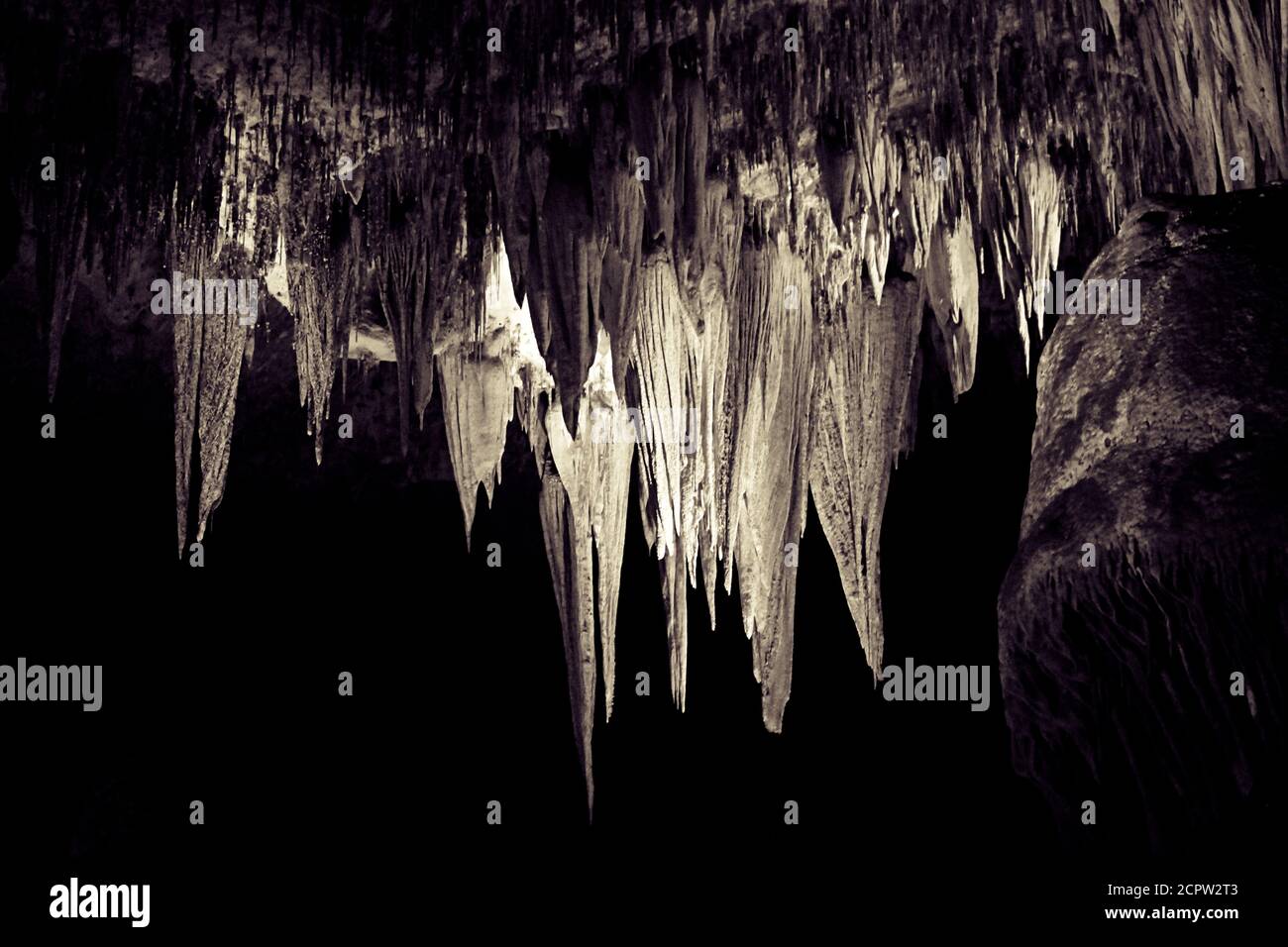 Formations rocheuses à l'intérieur de Carlsbad Carven créant des formes abstraites. Banque D'Images