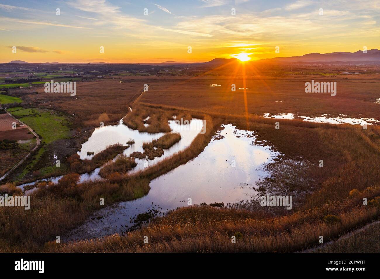 Marais, Parc naturel de s'Albufera au coucher du soleil, région d'es Pla, Majorque, Iles Baléares, Espagne Banque D'Images
