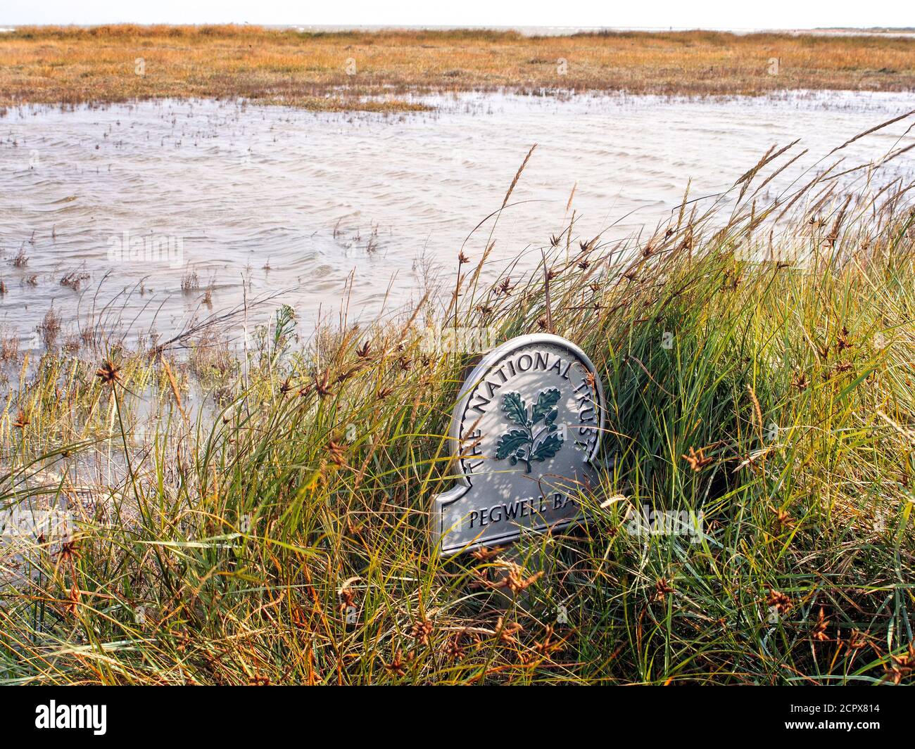Panneau National Trust au sanctuaire de la faune de Pegwell Bay Thanet Kent Banque D'Images