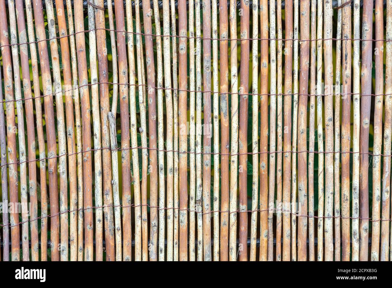 Fragment d'une clôture composée de tiges minces Banque D'Images