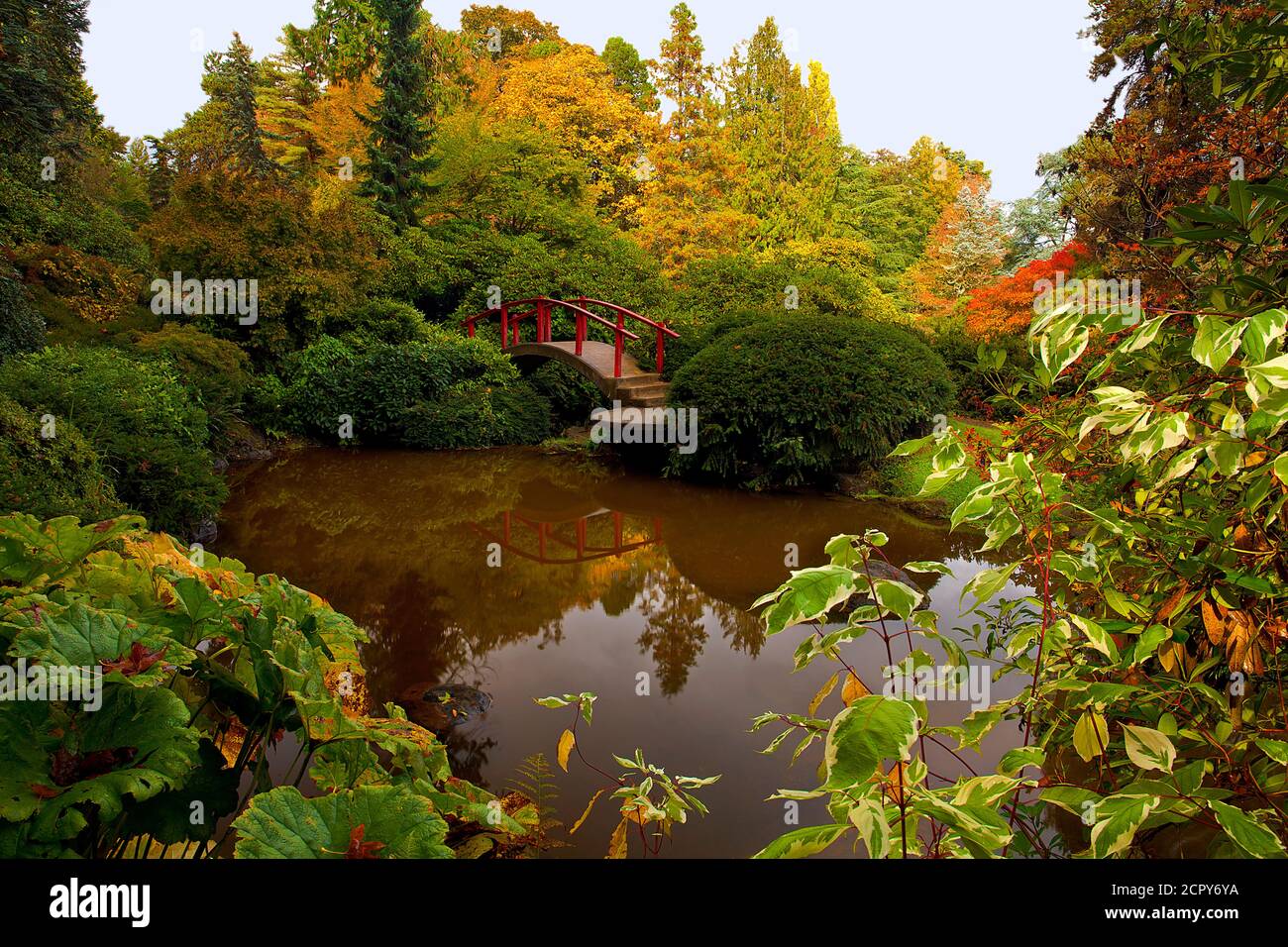 Magnifique pont japonais rouge avec des reflets d'étang entouré de végétation luxuriante Paysage à Kubota Garden à Seattle Banque D'Images