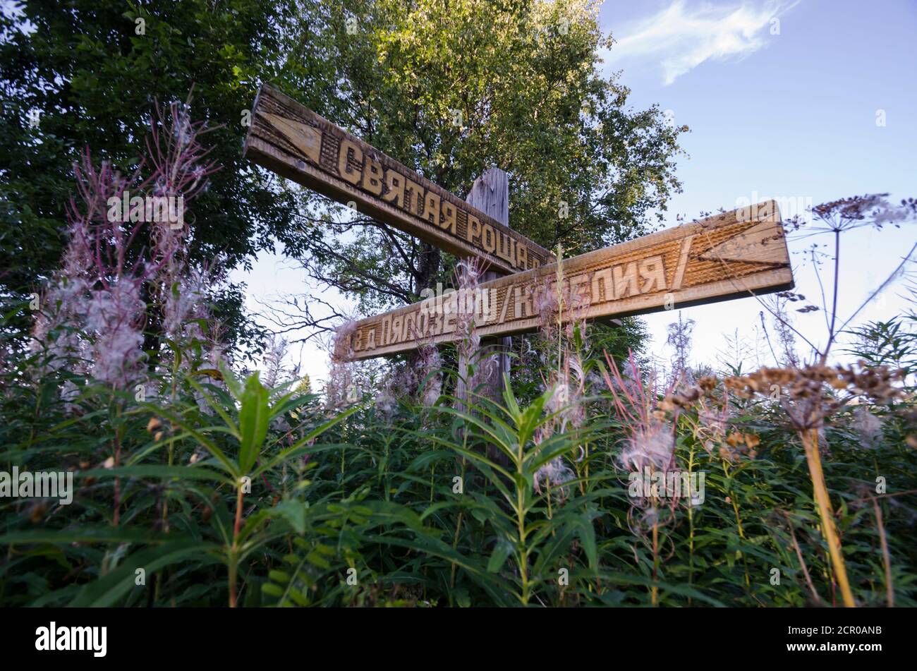 Panneau en bois au milieu de l'herbe. Carélie, bosquet sacré. Parc national de Kenozersky Banque D'Images
