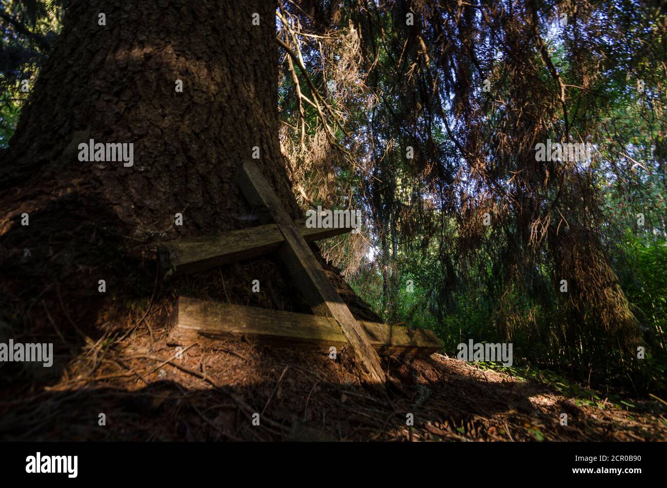Août 2020 - le village de Dumino. bosquet sacré dans le parc national de Kenozersky. Russie, région d'Arkhangelsk Banque D'Images