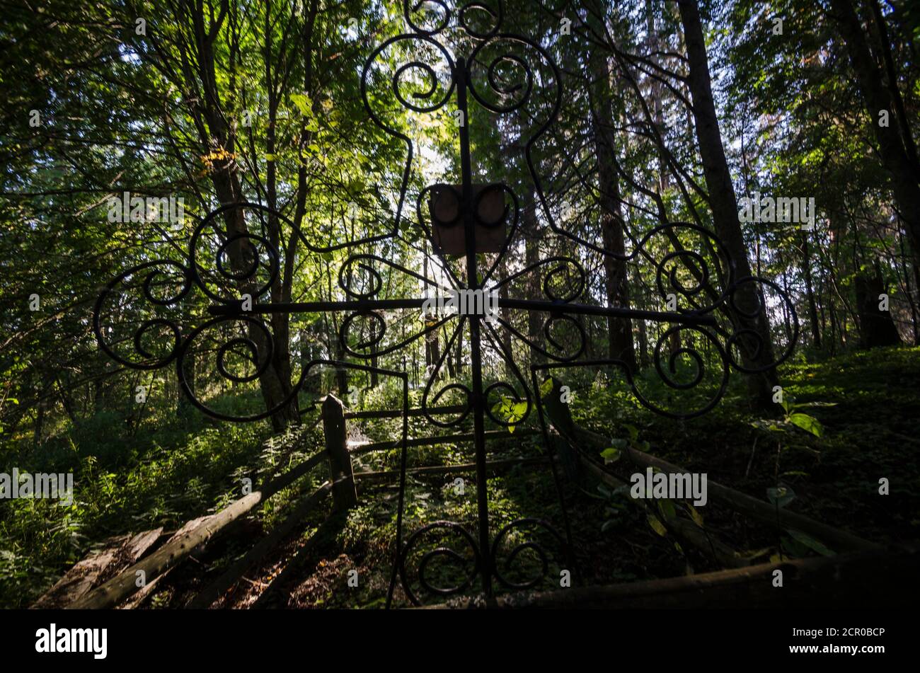 Août 2020 - le village de Dumino. bosquet sacré dans le parc national de Kenozersky. Russie, région d'Arkhangelsk Banque D'Images