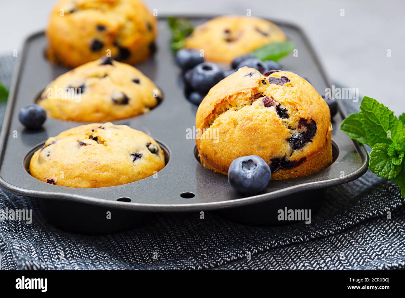 Muffins aux myrtilles fraîchement cuits au thym et à la menthe dans un moule à muffins. Arrière-plan gris. Banque D'Images