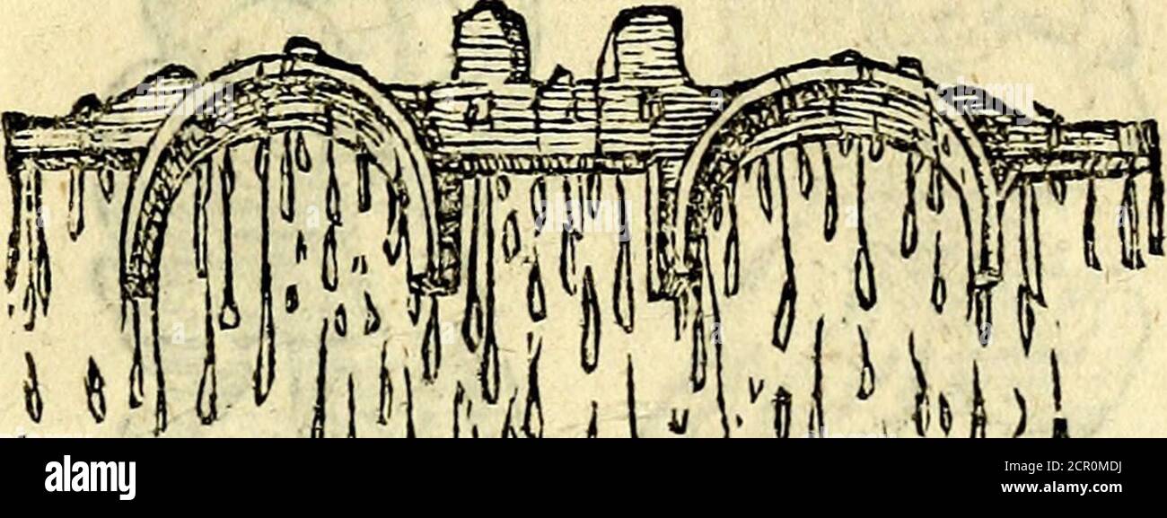 . Deves héroïqves . Saint Iacptes, entre autres imperfeccions et dans le maïs- S. laques 3.modite^de la langue, la dit eflré pline de mortiféreyenin:& ïacompare autymon ou uernal £ Na un-uire y par lequel tout le corps du yaijfeau, efi couvoié de la conformité, BIOS Auquel jimaÇisTir an dEgipte ayant enuoyê une befle facirijiee, auec fomm 100 DEVISES fommacion de luirenuoyer dicelle, te pire, ou le meil-leur : lui en renuoya féement la langue.Pourejire don ou le corps de la preuve, ou le port de la nature Banque D'Images