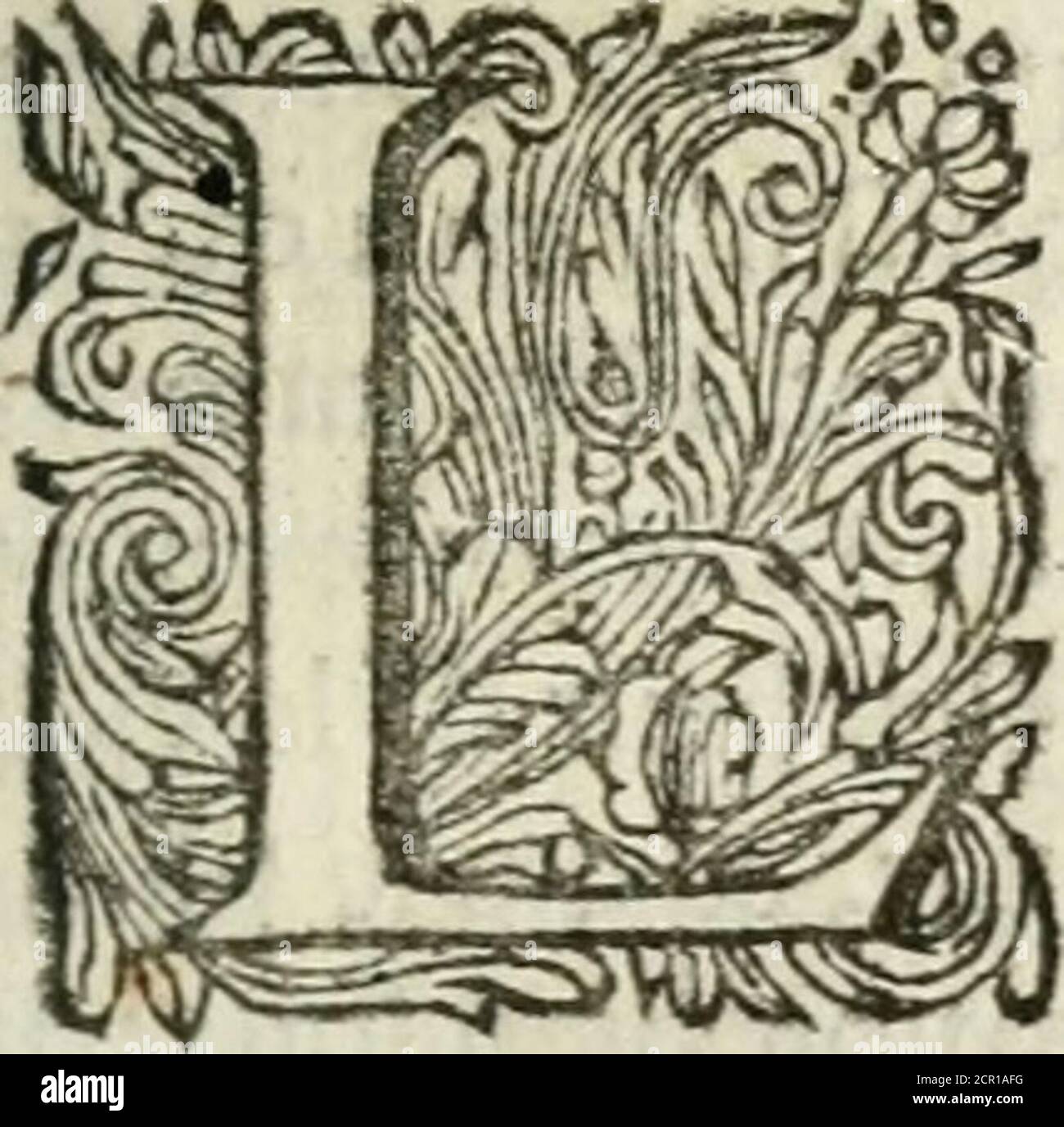 . www.flickr.com/photos/internetarchivebookimages/tags/book... . Glauque. XXVIII. Nonnuslib. 55:. 219. G L A U C U S. XXVIII. E S Grecs qui ont besoin des Fables fur avant de fujetspouramuTerle peuple, et pour étalirleur fuperfusion dans legit du vulg.iire, font devers avis touchant lorigine de Glaurepre-fenté dans ce tableau. Le Peintre qui luy donne à la main un bouquet de fleurs et de fleurs me-nus, de qui le fait rebordure vers le rivage, doîplugueurs poiffûns fe jettente dans le leau , un fuivy fans doute lopinion deeux qui ont ditfiitunPefcheurdcla ville-Andely; Beo-Antie Banque D'Images