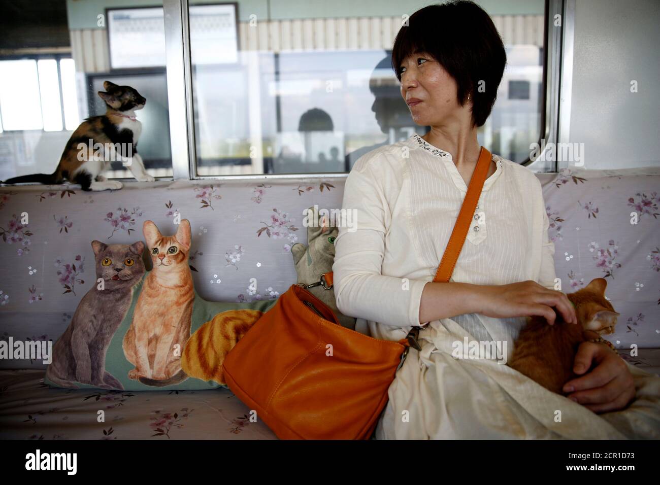 Un Passager Regarde Un Chat Dans Un Cafe De Chat De Train Tenu Sur Un Train Local Pour Sensibiliser A L Abattage Des Chats Isoles A Ogaki Prefecture De Gifu Japon Le 10