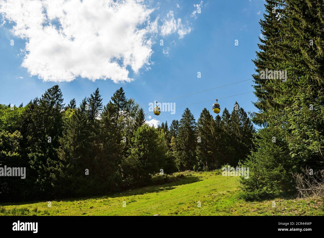 Deux gondoles Belchenbahn flottent au-dessus de la forêt Banque D'Images