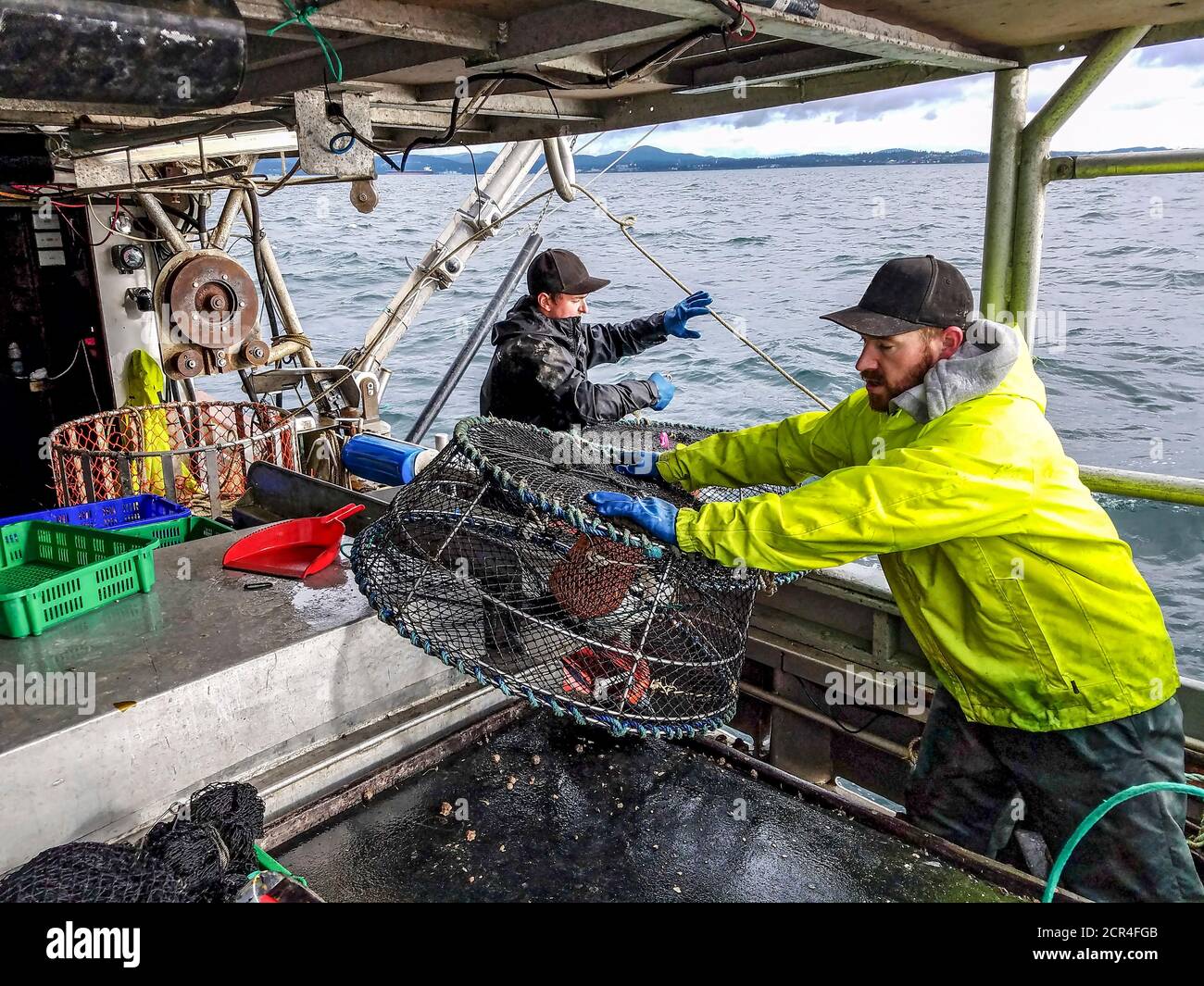 Bateau de pêche commercial Nordic Rand au large de l'île de Vancouver, Colombie-Britannique, Canada, pêche de crevettes (comme les crevettes mais plus grandes). Rechargement des pièges sur la palangre. Les lignes sont d'une longueur d'un demi-kilomètre, chacune contenant 50 pièges qui sont attachés à la ligne avec des « boutons-pression ». Banque D'Images